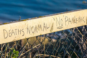 Grafiti on fence at seaside that says 'deaths normal no pandemic'