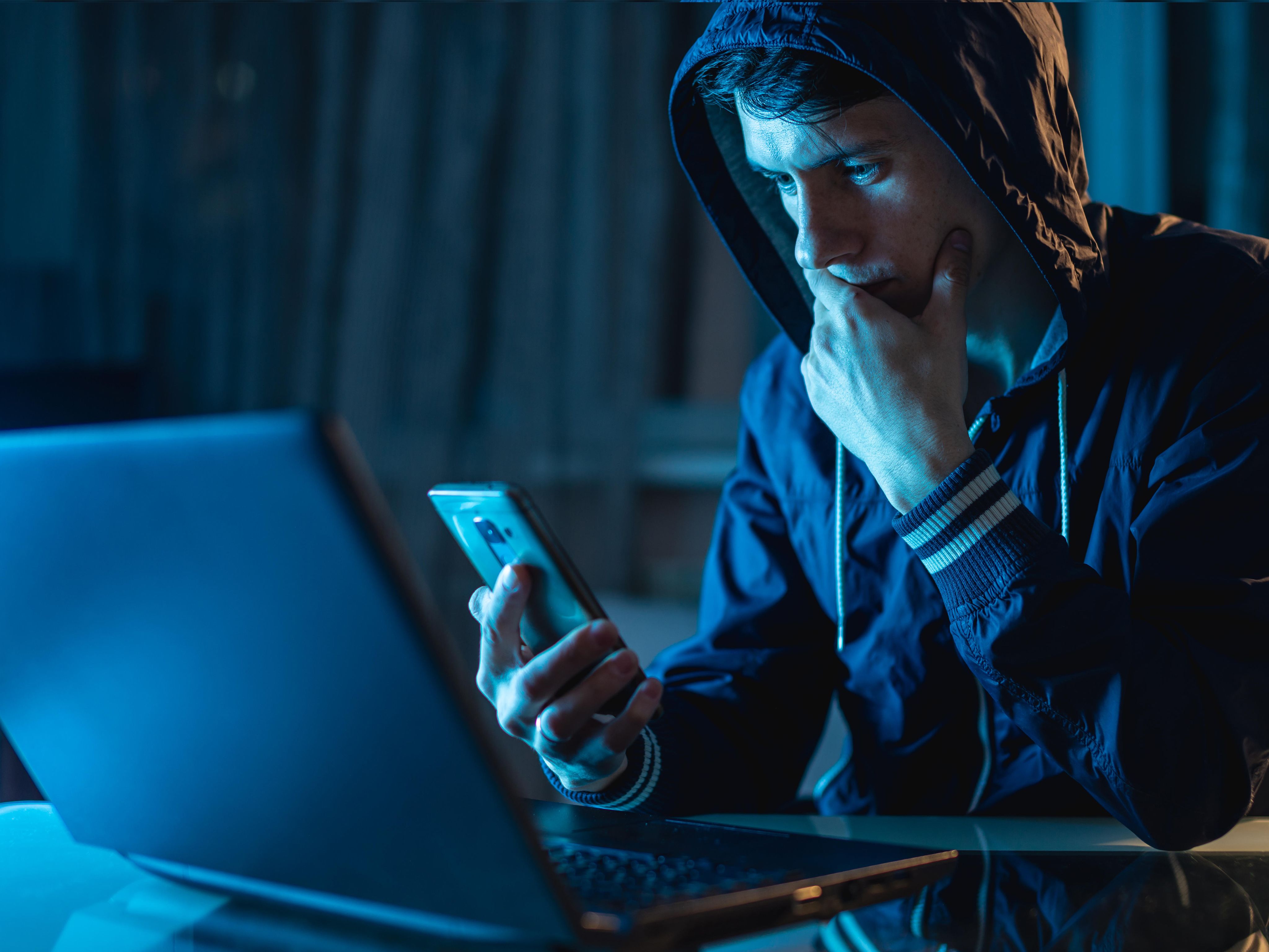 Person carrying out surveillance using online tools