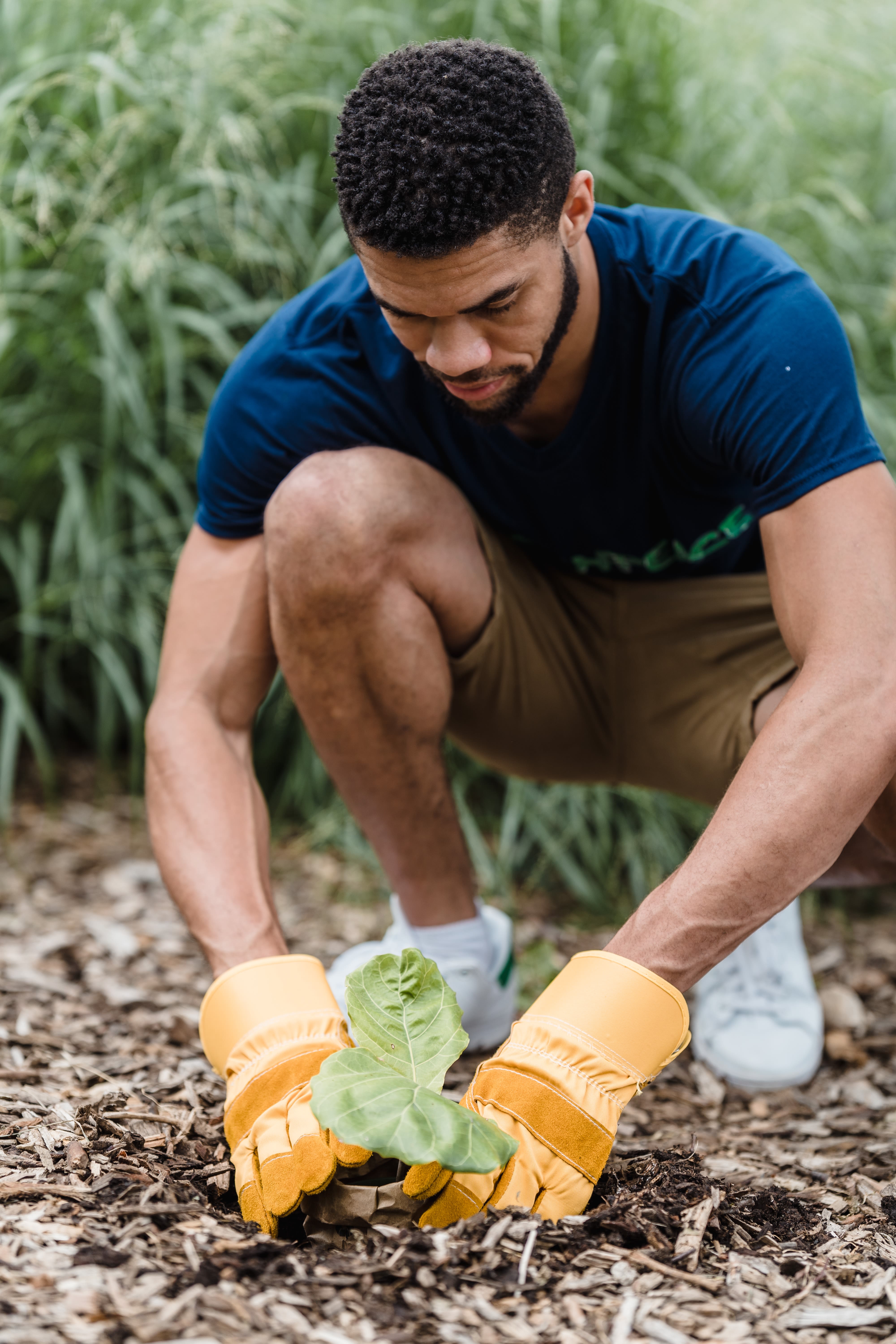 A man planting a small green plant, wearing yellow gloves.