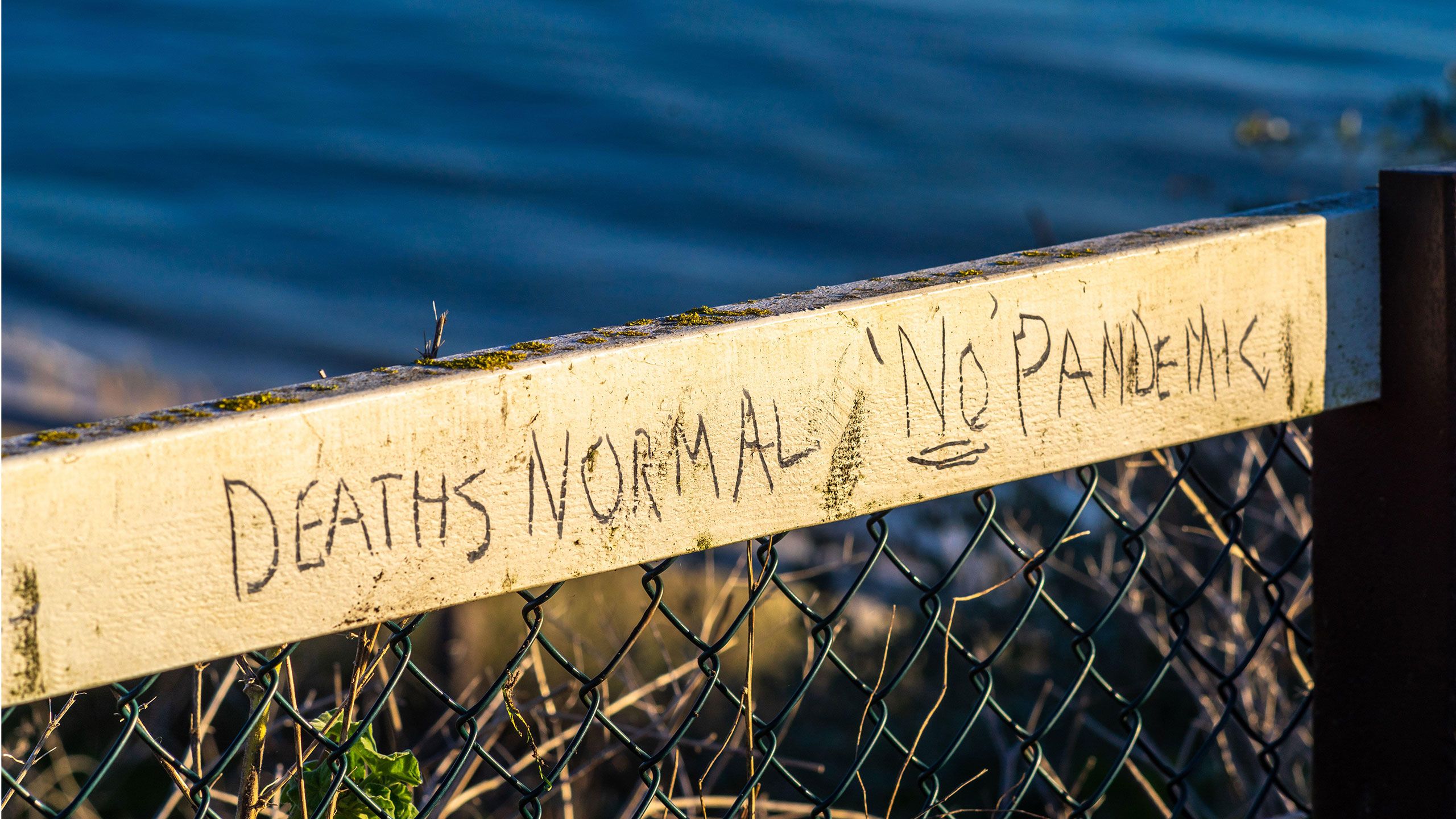 Graffiti that says 'deaths normal no pandemic' on sea fence