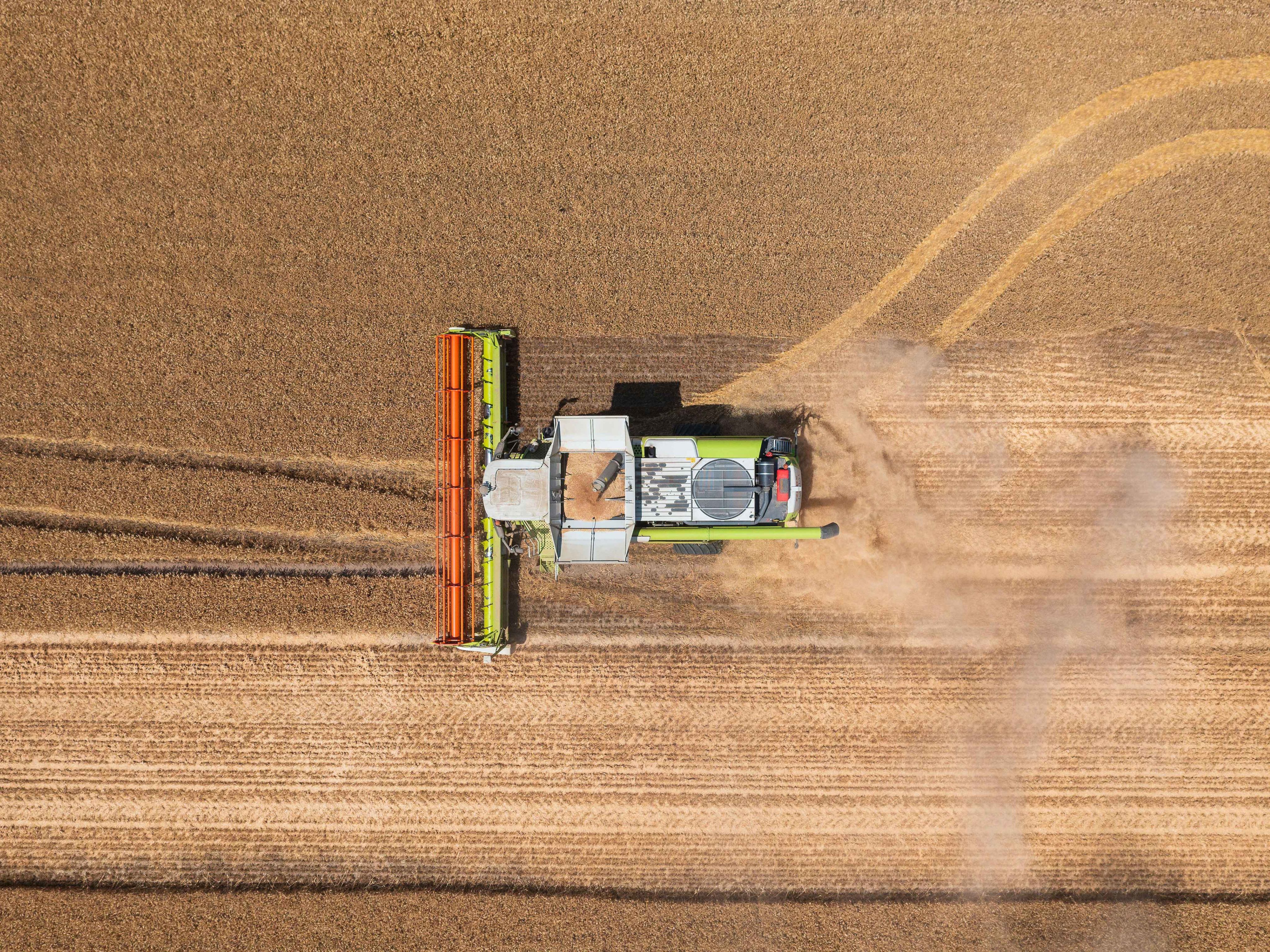 A combine harvester shot from above on a corn field