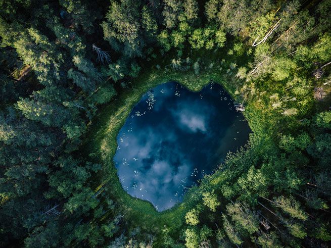 Rainforest canopy and lake viewed from above