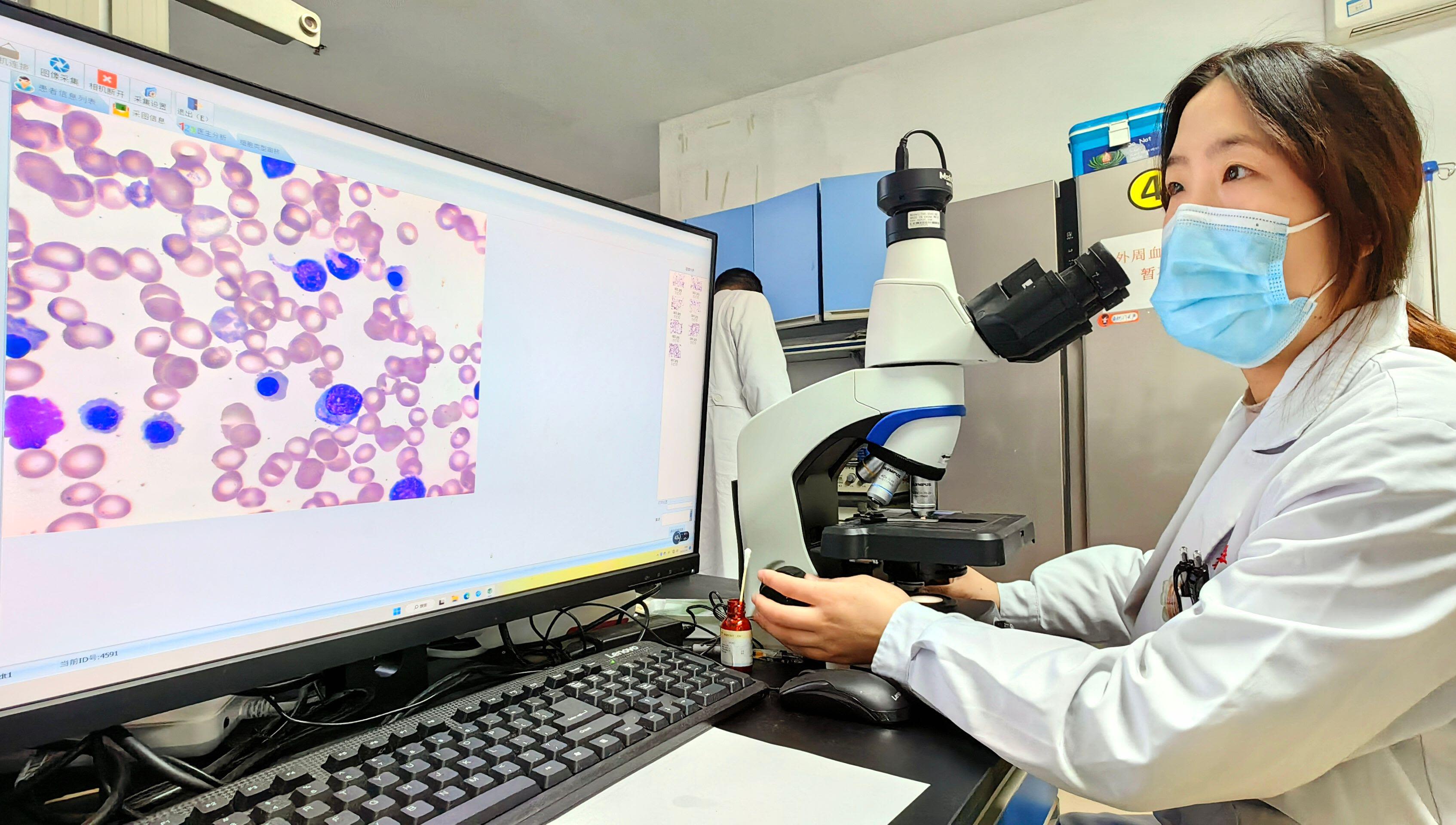 An examiner checks the results made by an artificial intelligence (AI) model for blood cell testing in a laboratory at Xinqiao Hospital under the Army Medical University in southwest China