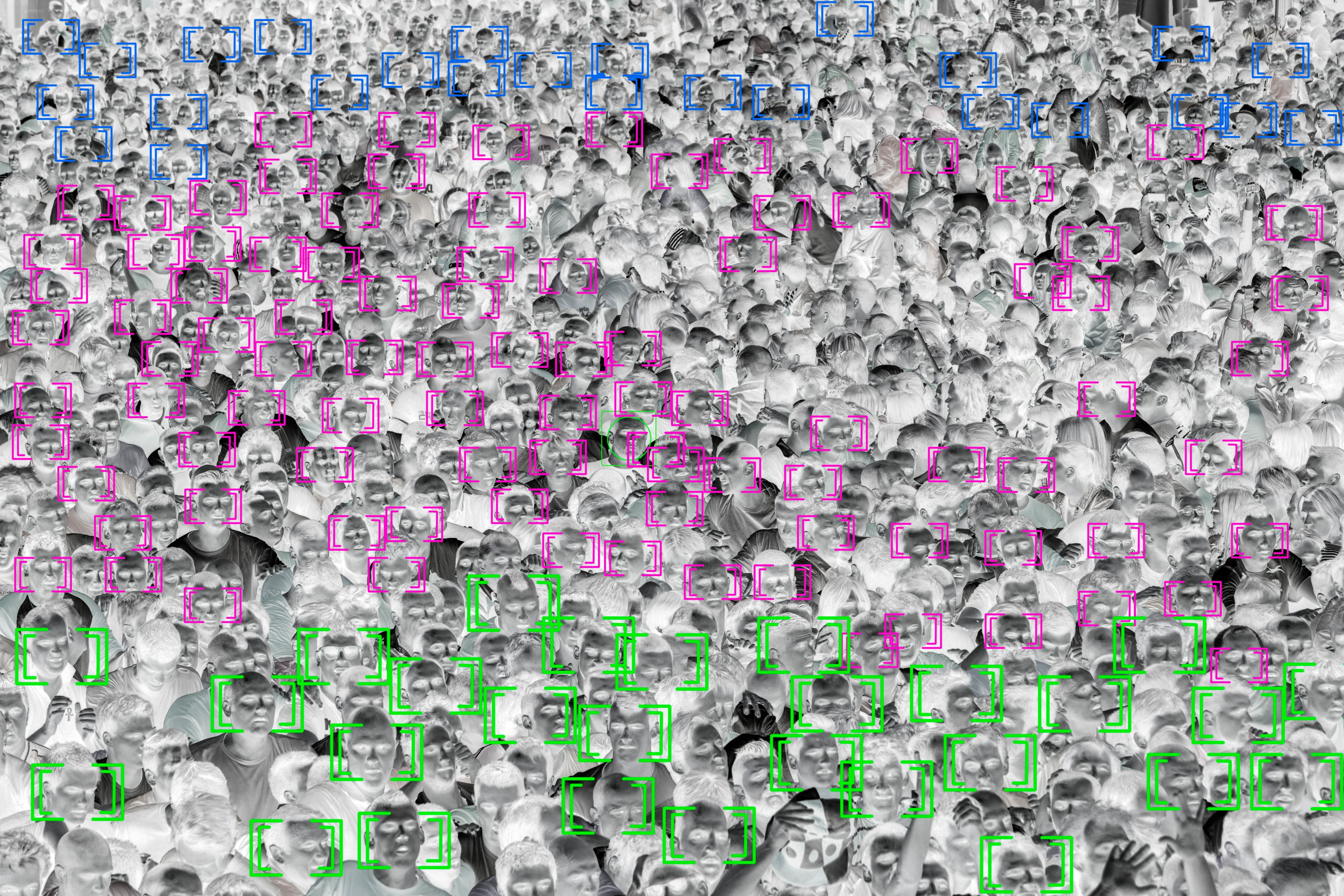 Screenshot of face recognition software